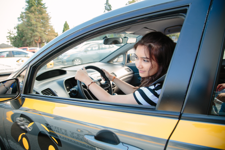 Adult Driving class